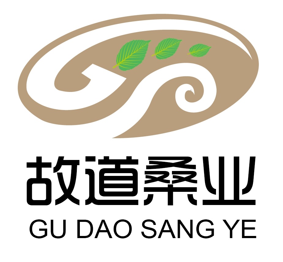 喝茶就可以防脫生發(fā)，太神奇了！桑葉養(yǎng)生茶