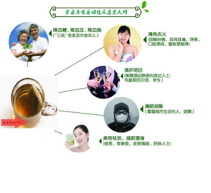 桑葉茶，營養(yǎng)長壽健康之茶
