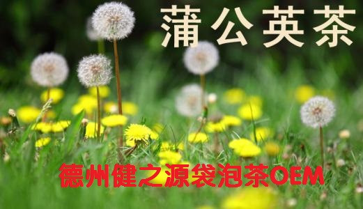 蒲公英茶，今天您喝了嗎？