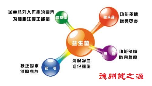 夏天腸胃問題頻發(fā)，您應該用益生菌了